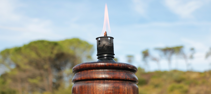 Imagem ilustrativa da notícia